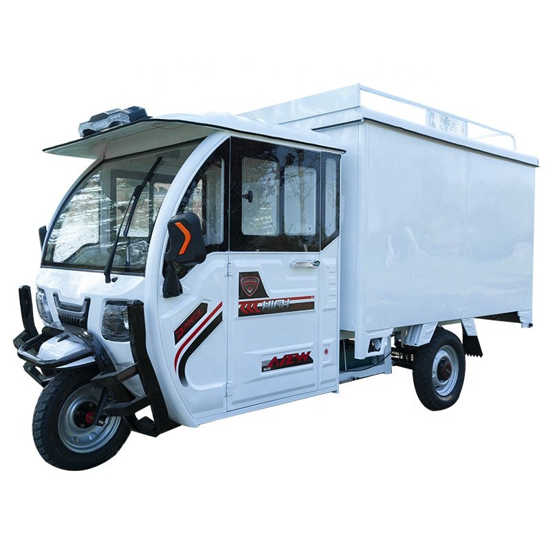 1200 Watt Electric Van Cargo Tricycle Electric Express Tricycle